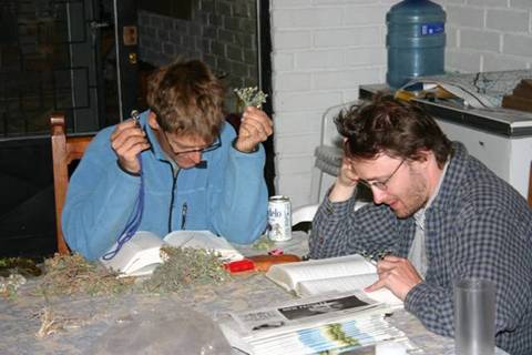 David and Brad plant id